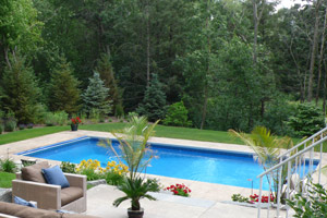 Backyard Swimming Pool Minneapolis St Paul MN